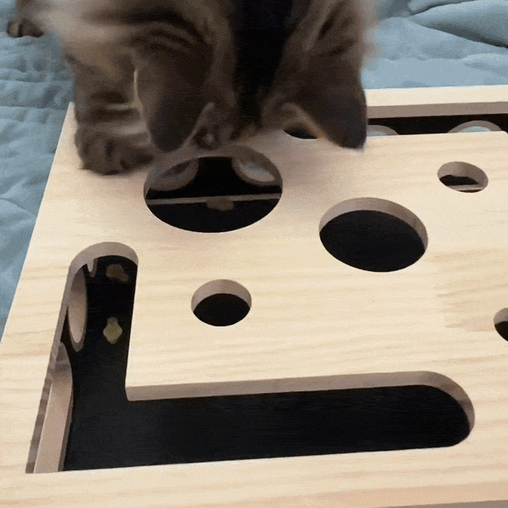 Poppy reaching into the box